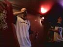 Honden Freestyle