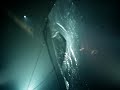 FUERZA BRUTA - new york