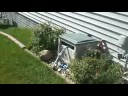landscaping in the front