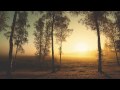 Video screenshot