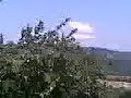 iznik batum kafkas elmal? g�rc�leri
