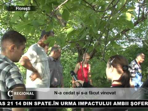 N-a cedat şi s-a făcut vinovat