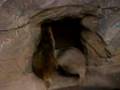 同じ穴のムジナ:YouTube閲覧数=1,306回