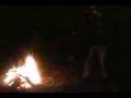 Fire Wire at bizzles pond