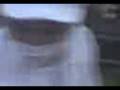 videos de el carnicero
