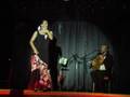 flamencotanz-hamburg.de