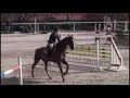 les parcours de karine vanovermeir, laurent lutz, st�phane molinari robinet et justine marchand ...