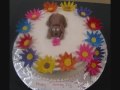 videos de Cake Decorating : More Custom Decorated Cakes !