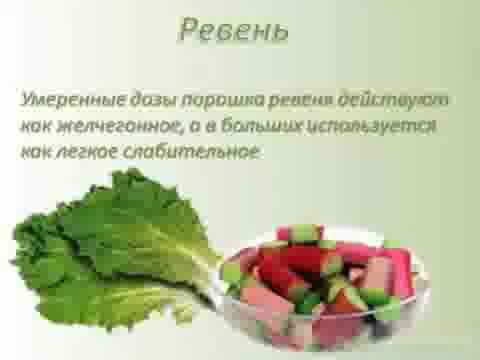 Halo Клинсин - Доктор Нона