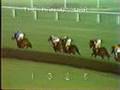 SECRETARIAT - 1973 Man o'War Stakes