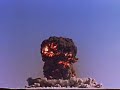 MOCKINGBIRD NUKES MOCKINGBIRD NUKES