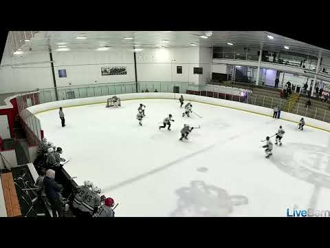 TSH Showcase Team NLP - Goal #24