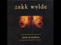 Zakk Wylde - Sold my Soul (sdmf)