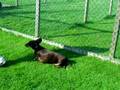 videos de maverick