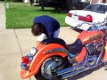 2002 Suzuki Volusia