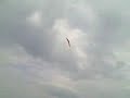 Ritewing Lightning 36