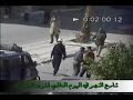 intifadamay rasd western sahara intifada