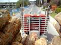 Peterbilt logging truck Peterbilt logging truck