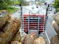 Peterbilt logging truck