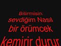 SoNSuZ A$K?M