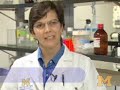 Pancreatic Cancer