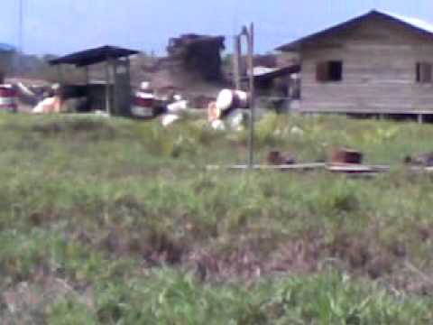 how to enable jetty logging