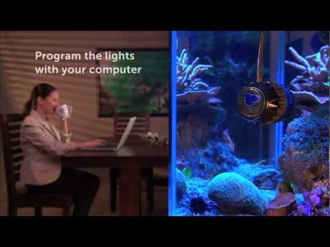 EcoTech Marine VorTech and Radion EcoTech Marine VorTech and Radion