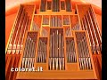 Prospetto fonico organo Pasian di Prato Manuel Tomadin
