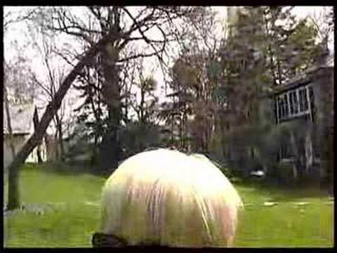 A Brief History of Evanston