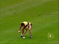 Clare Hurling 1995-1999 Clare Hurling 1995-1999