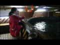 Sea Life Sanctuary Oban