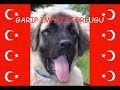 Kangal Garip Imparatorlugu