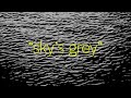 Video Destroyer - Sky's Grey Video Destroyer - Sky's Grey