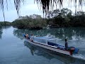 mentawai morning, macaroni\