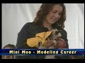 Mini Moo Gurnee Yorkie Modeling Career Mini Moo Gurnee Yorkie Modeling Career