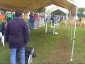 Multibreed division at Eggborough