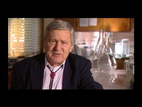 Effects of Feeding GMO Potatoes To Rats (Pt. 1)