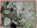 treehugger.html