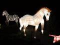 videos de Lantern Festival Part 1