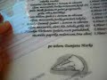 Pice Lepotice