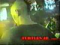 Turtles Jr - Indonesian Punk