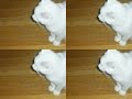 踊るネコ動画