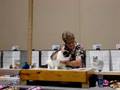 Rag Time in Kansas City Cat Show Michicatz Gideon Meows-A-L