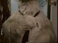 alfa-147-sloth-wakeup-.html