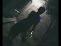 glow stick erick