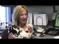 Public Health Professionals - Episode 3 (Epidemiology)
