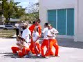 Search Video