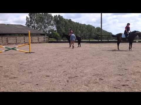 - Fallowfen Training Kennels - Fallowfen Training Kennels
