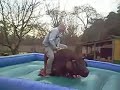Toro Mecánico vs Pelado Toro Mecánico vs Pelado