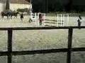 videos de saut d'obstacle